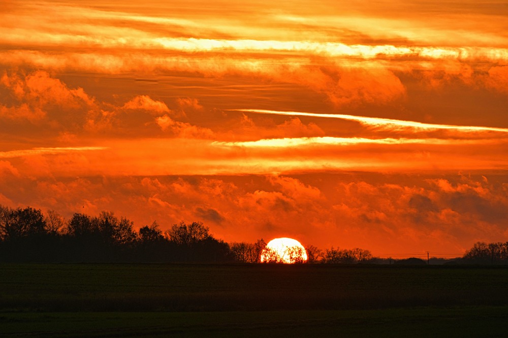 Lever du soleil dans les champs