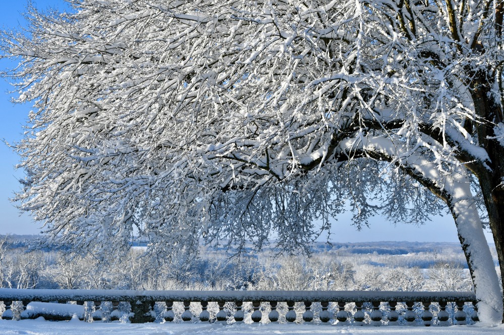 Photo du parc de Taillebourg sous la neige