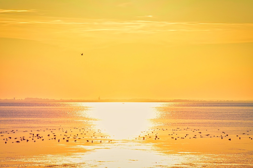 Lever du soleil au Château d'Oleron 1