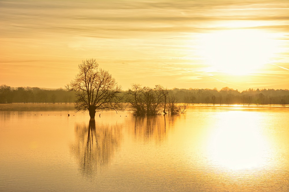 Lever du soleil pendant les inondations dans la vallée de la Charente