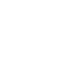 Wordpress expert